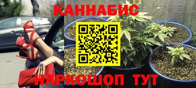 не бодяженный Будённовск